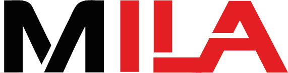 Sklep internetowy z butami damskimi - Mila